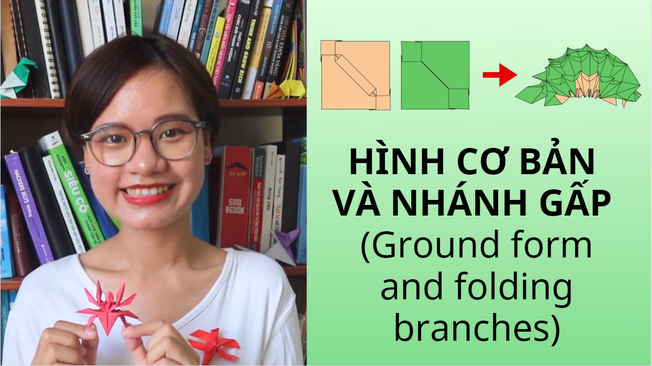 Video 26: Hình cơ bản và nhánh gấp - The Art of Paper Folding: Ground form and folding branches